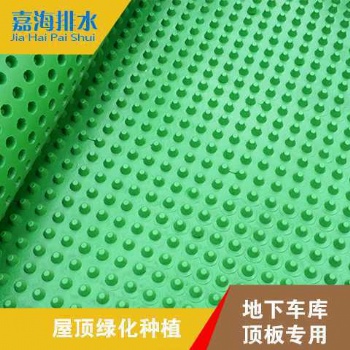 供應(yīng)陜西塑料排水板生產(chǎn)廠家 質(zhì)量**