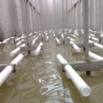 高效充氧管式曝氣器、一體化鼓風式曝氣器設備、烏克蘭進口微孔曝氣管、進口高分子管式曝氣器