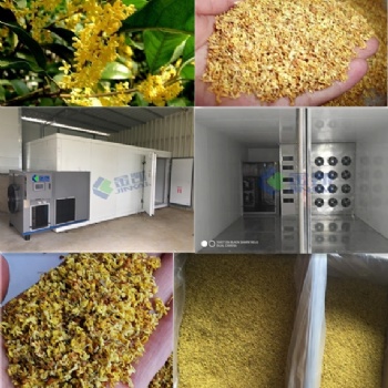 桂花烘干機#廣州金凱空氣能烘干設備#烘干除濕一體機。