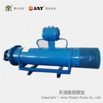 堤壩排水斜拉式潛水電泵_使用注意事項(xiàng)_現(xiàn)貨