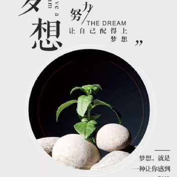 江蘇五年制專(zhuān)轉(zhuǎn)本：專(zhuān)業(yè)的輔導(dǎo)培訓(xùn)、專(zhuān)業(yè)的志愿填報(bào)
