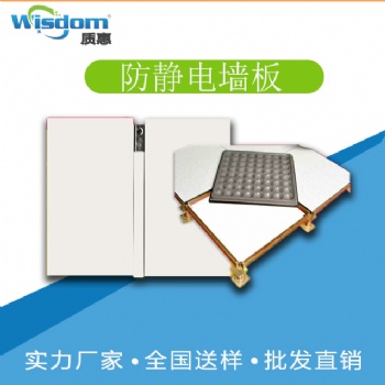 質(zhì)惠防靜電地板廠家 機房防靜電墻板參數(shù)