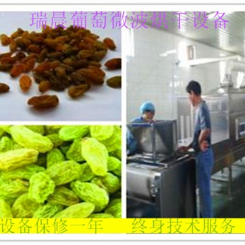瑞晨隧道式葡萄干微波烘干滅菌設(shè)備廠家