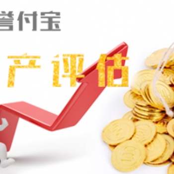 譽付寶海峽資產評估，專業評估機構，15年運營經驗