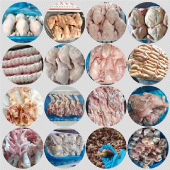 冷凍雞產(chǎn)品_凍品批發(fā)廠家_山東凍貨種雞分割供應全國各地