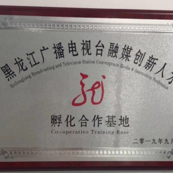 抖音企業(yè)賬號，政務賬號代運營，策劃包裝獲取曝光
