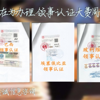 孟加拉大使館認(rèn)證財務(wù)審計/公司損益表