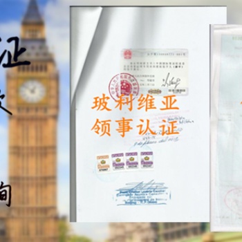 第三方如何辦理公司損益表使館雙認(rèn)證