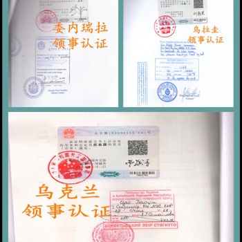 開曼群島領館未婚聲明簽章