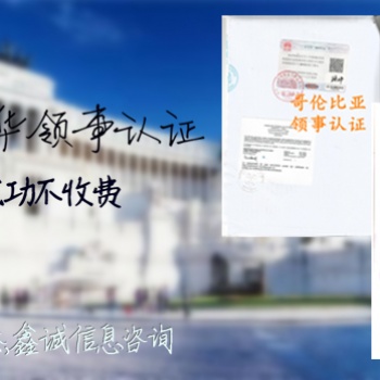 資產負債表<資產負債表毛里求斯領事認證