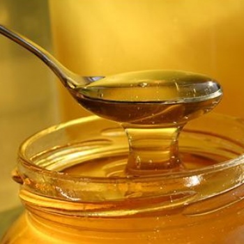 進(jìn)口蜂蜜專業(yè)**報(bào)關(guān)