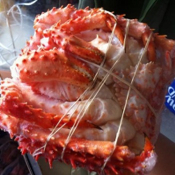 進(jìn)口帝王蟹報(bào)關(guān)服務(wù).