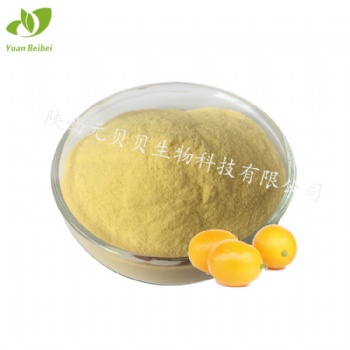 金桔汁粉壹貝子實力工廠現(xiàn)貨批發(fā)原料免費拿樣金桔**金桔粉