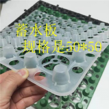 洛陽(yáng)園林綠化種植2公分蓄排水板