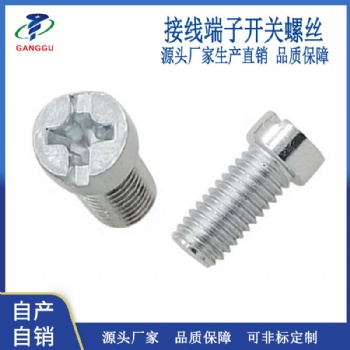源頭廠家生產(chǎn) M5機牙螺釘 十一字圓柱頭接觸器端子開關(guān)插座螺絲