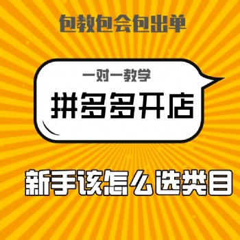2021新手小白做拼多多無貨源從0講解，單類目精細化運營實操指導(dǎo)