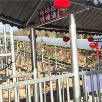 景區(qū)魔毯構(gòu)造網(wǎng)紅游樂項目 滑雪場魔毯施工隊安裝費(fèi)用