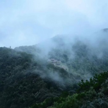 古琴移植與傳統古琴曲目之辨