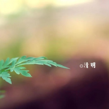 學古琴左右腦協調平衡發展