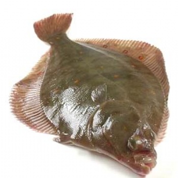 日本比目魚進口報關**流程和需要資料