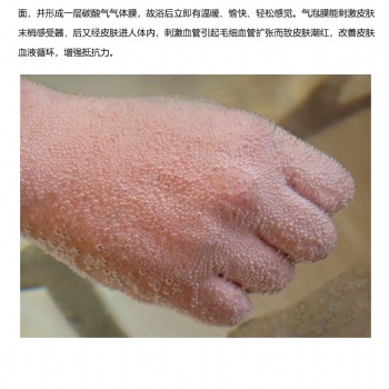 溫泉機碳酸泉牛奶機水處理設(shè)備