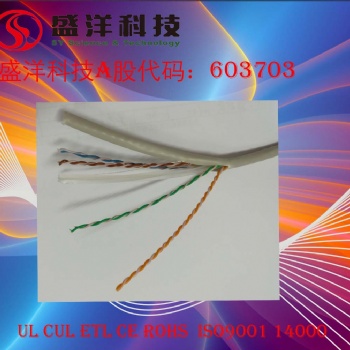 盛洋科技供應(yīng)高品質(zhì)六類網(wǎng)絡(luò)線