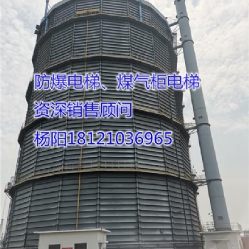 供應(yīng)湖南省張家界市永定區(qū)防爆電梯、煤氣柜電梯