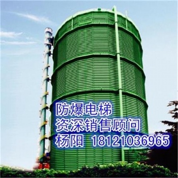 供應(yīng)山東省東營(yíng)市利津縣防爆電梯、煤氣柜電梯