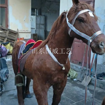 動態(tài)仿真馬模型機(jī)械仿真馬標(biāo)本