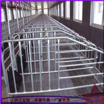 泊頭市良諸畜牧機(jī)械設(shè)備有限公司養(yǎng)豬設(shè)備限位欄