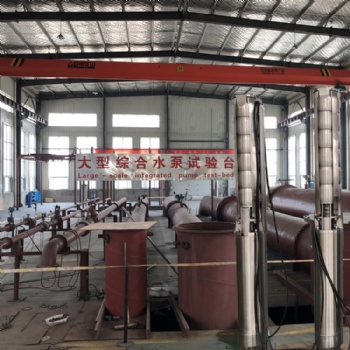 大型不銹鋼水泵生產(chǎn)廠(chǎng)家深井泵可礦用，溫泉，農(nóng)田灌溉，海水