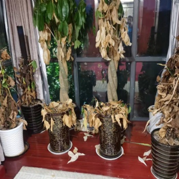 東林鎮(zhèn)辦公室搬遷安全可靠