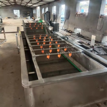 出售不銹鋼氣泡清洗機(jī)蔬果多功能氣泡清洗機(jī)小龍蝦氣泡清洗機(jī)