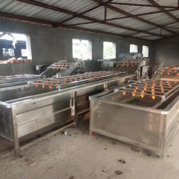 不銹鋼果蔬氣泡式清洗機(jī) 辣椒清洗機(jī) 全自動(dòng)蔬菜小龍蝦清洗設(shè)備