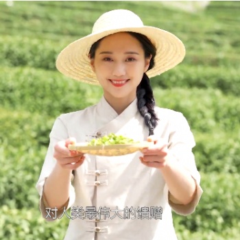 高端服務(wù)，溫馨呵護(hù)——茶益康