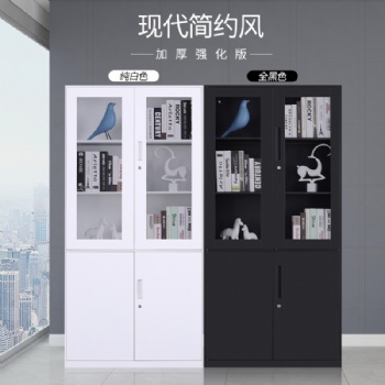 石家莊文件柜、鐵皮文件柜、鋼制文件柜、檔案柜