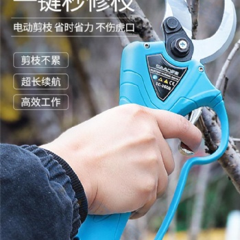 剪枝機(jī) 樹枝修剪工具 背負(fù)式電動(dòng)修枝剪