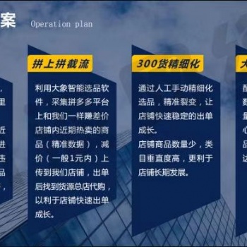 吉林拼多多無貨源運營教學，淘上拼，拼上拼截流，精細化運營教學
