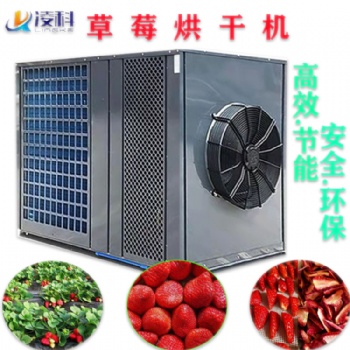 草莓烘干機(jī)水果烘干設(shè)備家用干燥機(jī)