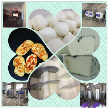 奶酪設(shè)備生產(chǎn)線 車達奶酪生產(chǎn)線