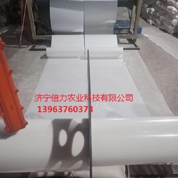 鴨舍自動清糞帶白色出糞帶PP材質(zhì)