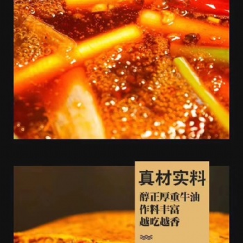 重慶老火鍋底料廠家，一次性重慶老火鍋底料批發板料bl2208-01/500克