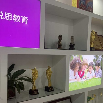 鄭州二七區(qū)高一預(yù)科輔導班,銳思教育簡介