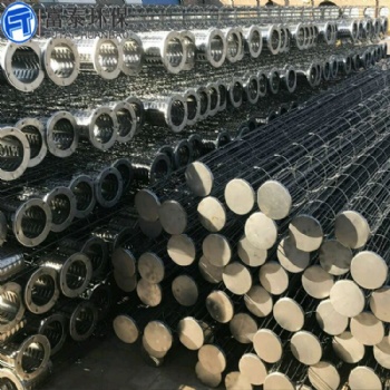 碳鋼材質(zhì)彈簧骨架袋籠 鍍鋅噴塑除塵袋籠