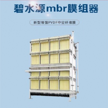 污水過(guò)濾膜組件 弦紋平板MBR膜CF-I-6 占地小 裝填密度高
