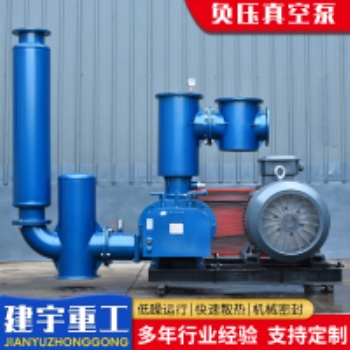 建宇重工負(fù)壓真空泵小型精密大吸力