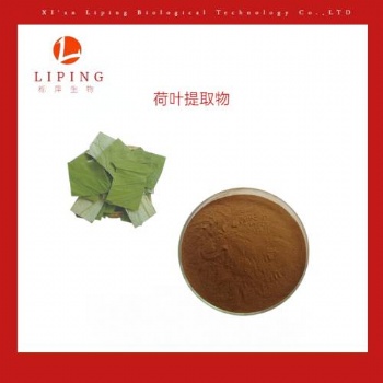 供應(yīng)荷葉萃取物荷葉堿2％-98％ 荷葉黃酮10％