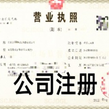 代辦石家莊公司核名、注冊(cè)；代理記賬、稅務(wù)管理等，企業(yè)注冊(cè)服務(wù)