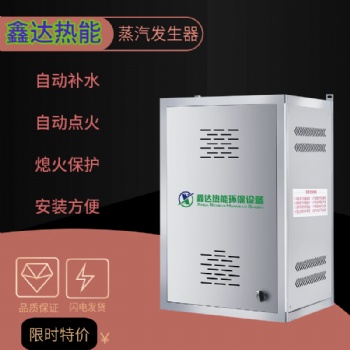 蒸汽發(fā)生器燃氣煮漿釀酒饅頭