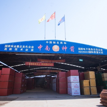 中南神箭 建筑竹膠板 20年專業(yè)生產(chǎn) 木膠合板強(qiáng)度的4-5倍 拆模速度快